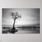 Lonely Bare Tree Poster (Vorne)