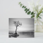 Lonely Bare Tree Postkarte (Stehend Vorderseite)
