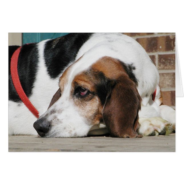 Lonely Basset Hound Karte (Vorderseite (Horizontal))