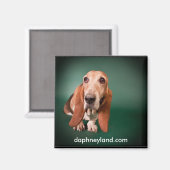 Lonely Basset Magnet (Vorderseite/Rückseite)