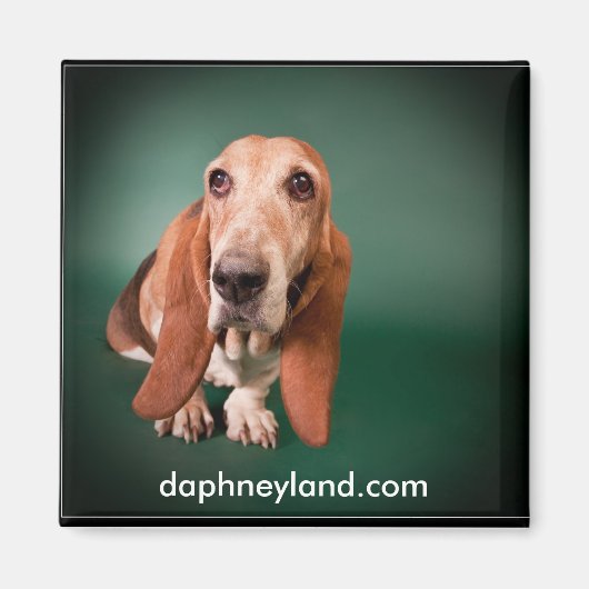 Lonely Basset Magnet (Vorne)