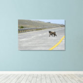 Lonely Chacma Baboon überquert Autobahn Leinwanddruck (Insitu (Holzboden))