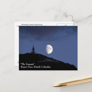 Lonely Companion Postcard Postkarte