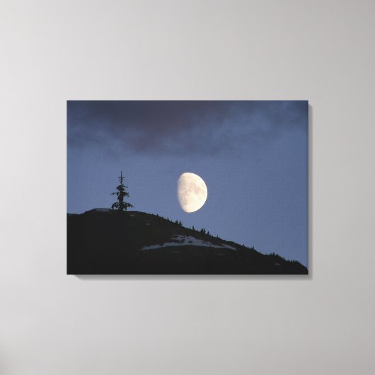 Lonely Companion Stretch Canvas Print Leinwanddruck (Vorderseite)