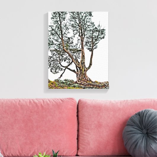 Lonely Cypress Leinwanddruck (Insitu (Wohnzimmer))