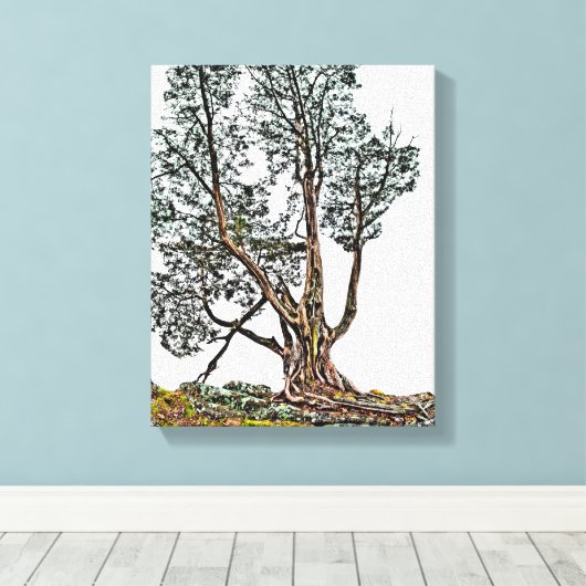 Lonely Cypress Leinwanddruck (Insitu (Holzboden))