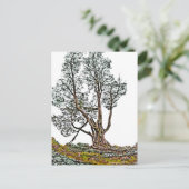 Lonely Cypress Postkarte (Stehend Vorderseite)