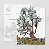 Lonely Cypress Postkarte (Vorne/Hinten)