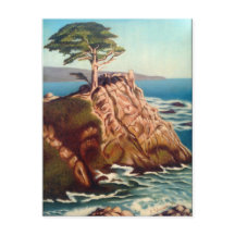 Lonely Cyprus Postcard