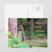 Lonely Eichhörnchen Postkarte (Vorne/Hinten)