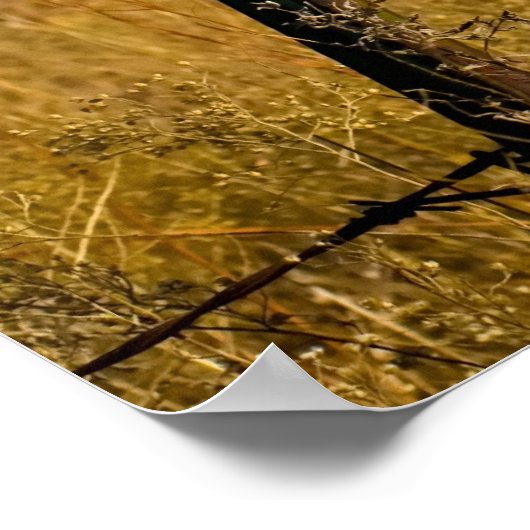 Lonely Fields Poster (Ecke)