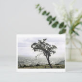 Lonely Freakin Tree Postkarte (Stehend Vorderseite)