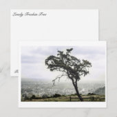 Lonely Freakin Tree Postkarte (Vorne/Hinten)