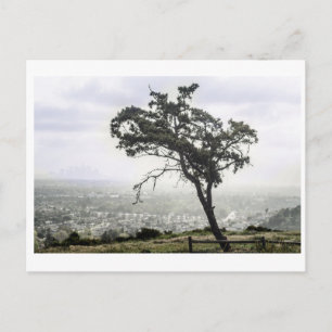 Lonely Freakin Tree Postkarte