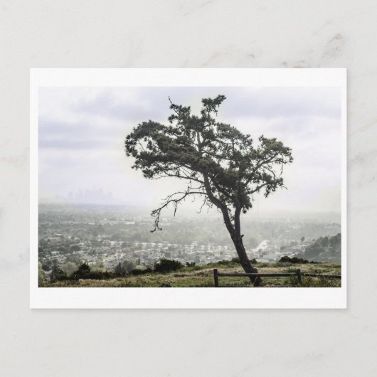Lonely Freakin Tree Postkarte (Vorderseite)