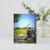 Lonely Giraffe Postkarte (Stehend Vorderseite)