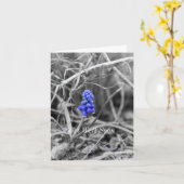 Lonely Graf Hyacinth Wählen Sie Farbe wird gut Karte (Gelbe Blume)