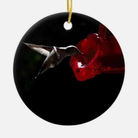 Lonely Hummingbird Keramik Ornament (Vorne)