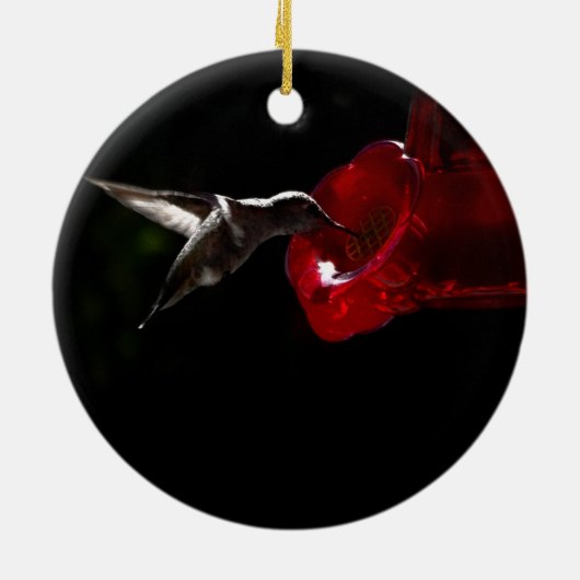 Lonely Hummingbird Keramik Ornament (Hinten)