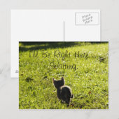 Lonely Kitten "Vermisste Sie" Postkarte (Vorne/Hinten)
