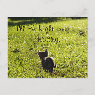 Lonely Kitten "Vermisste Sie" Postkarte