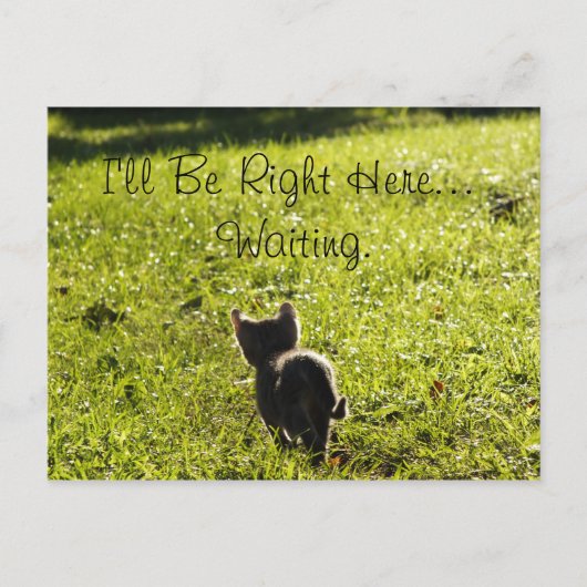 Lonely Kitten "Vermisste Sie" Postkarte (Vorderseite)