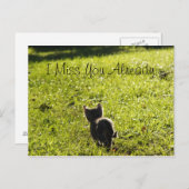 Lonely Kitten "Vermisste Sie" Postkarte *Anpassbar (Vorne/Hinten)