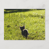 Lonely Kitten "Vermisste Sie" Postkarte *Anpassbar (Vorderseite)