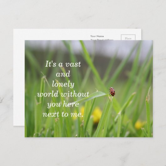 [Lonely Ladybug] Vermisst Postkarte (Vorne/Hinten)