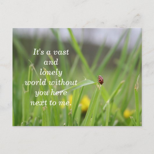 [Lonely Ladybug] Vermisst Postkarte (Vorderseite)