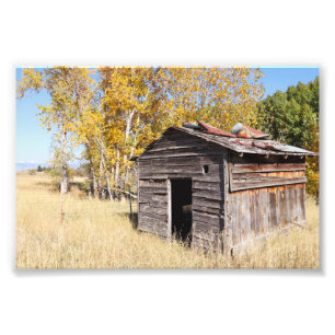Lonely Little Shed Fotodruck