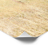 Lonely Little Shed Poster (Ecke)
