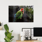 Lonely Lovebird Poster (Heimbüro)