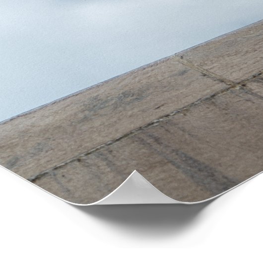 Lonely Pigeon by Dániel Oláh Poster (Ecke)