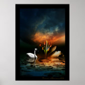 Lonely Swan Poster (Vorne)