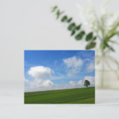 Lonely Tree - Postcard Postkarte (Stehend Vorderseite)