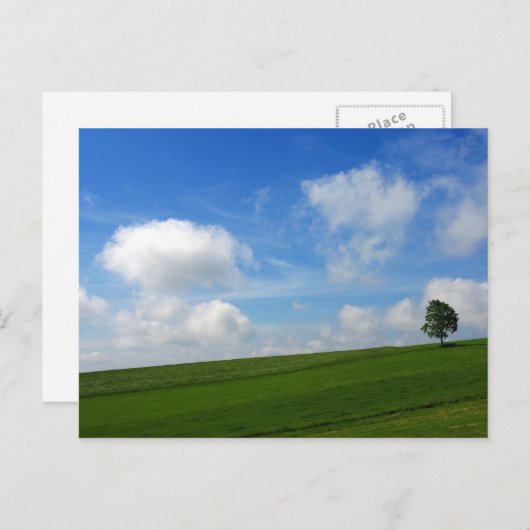 Lonely Tree - Postcard Postkarte (Vorne/Hinten)