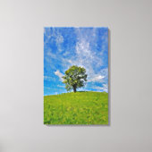 Lonely Tree - Serene Grassy Field Leinwanddruck (Vorderseite)