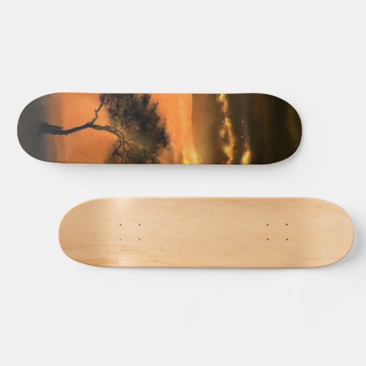 Lonely Tree Sunams Skateboard - Sonnenaufgang (Horizontal)