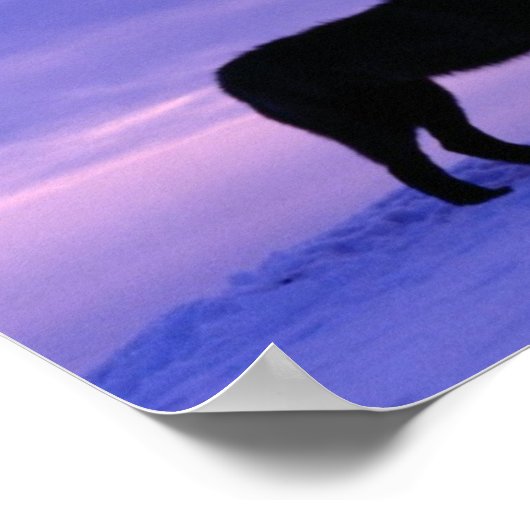 Lonely Wolf Poster (Ecke)