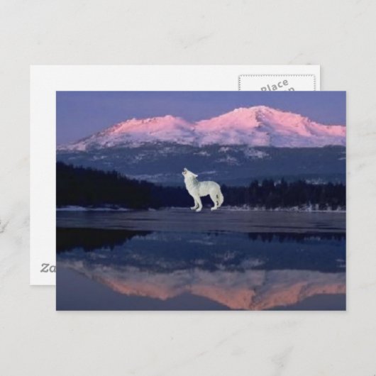 Lonely Wolf Postkarte (Vorne/Hinten)