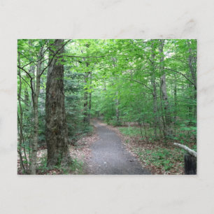 Lonesome Lake Trail in New Hampshire Postkarte