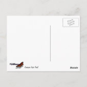 Lonesome Lake Trail in New Hampshire Postkarte (Rückseite)