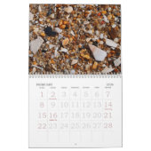 Long Beach Insel Kalender (Feb 2026)