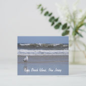 Long Beach Island, NJ Postcard Postkarte (Stehend Vorderseite)