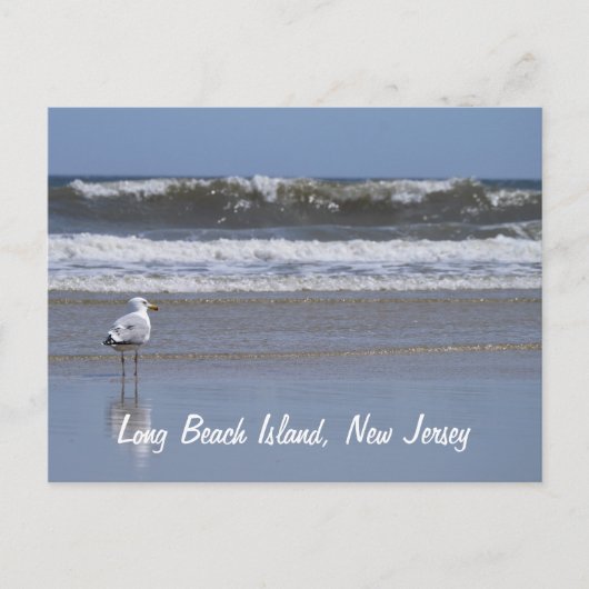 Long Beach Island, NJ Postcard Postkarte (Vorderseite)