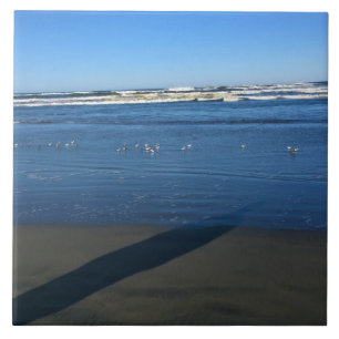 Long Beach, Washington Fliese