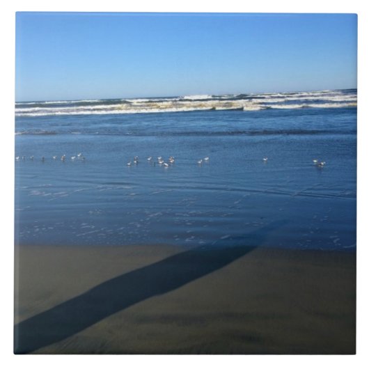 Long Beach, Washington Fliese (Vorderseite)