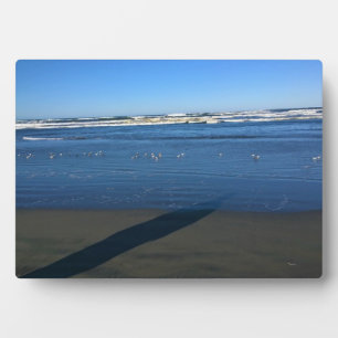 Long Beach, Washington Fotoplatte