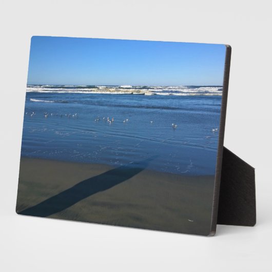 Long Beach, Washington Fotoplatte (Seite)